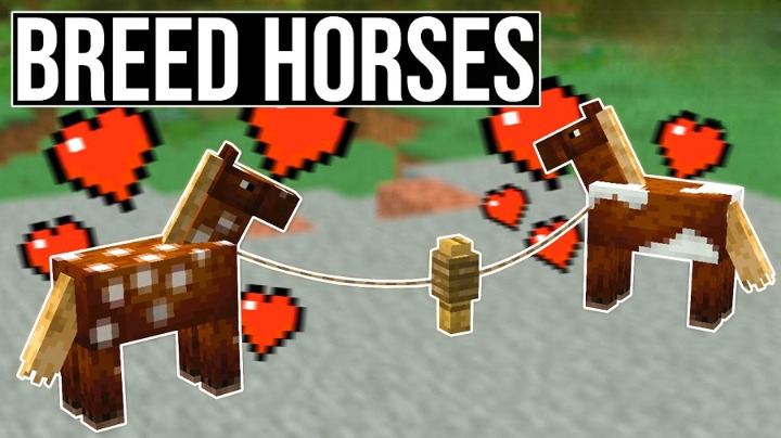 The Ultimate Guide to Breeding Horses in Minecraft