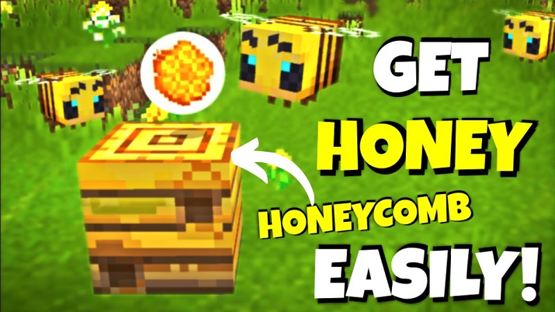 Unveiling the Secrets: How to Get Honeycomb in Minecraft